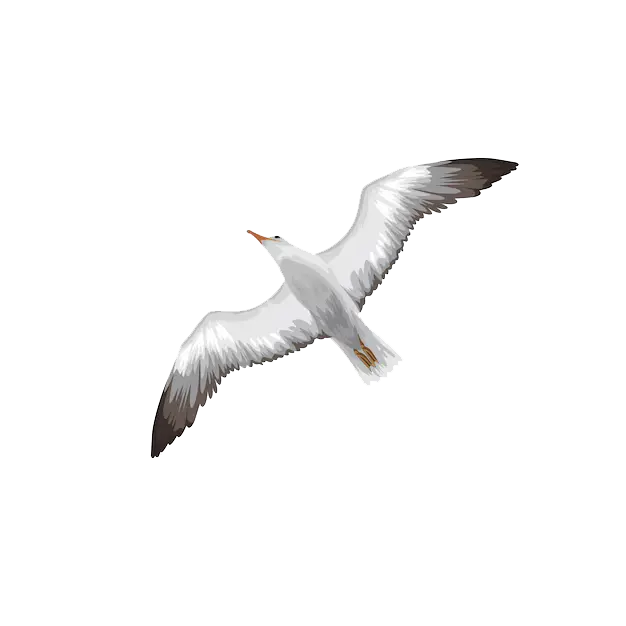 M&aring;sigt